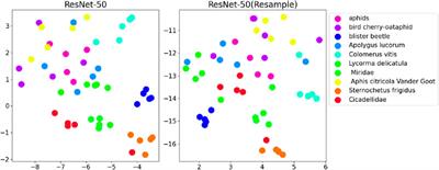 A pest image recognition method for long-tail distribution problem